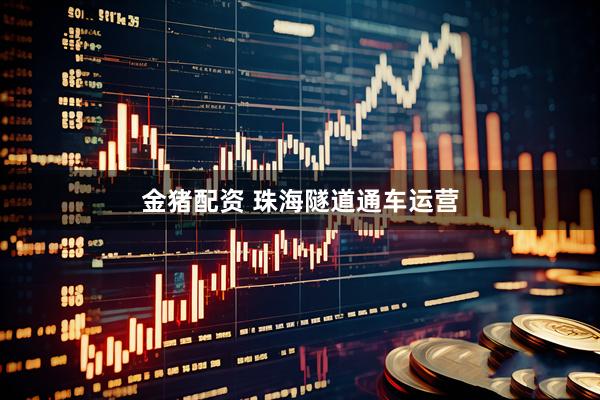 金猪配资 珠海隧道通车运营