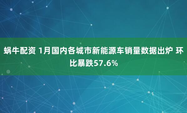 蜗牛配资 1月国内各城市新能源车销量数据出炉 环比暴跌57.6%
