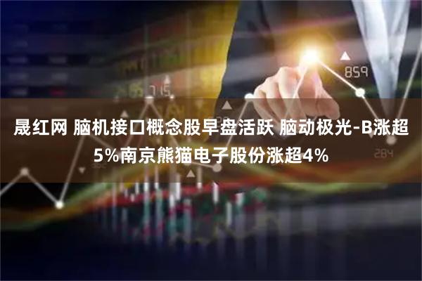 晟红网 脑机接口概念股早盘活跃 脑动极光-B涨超5%南京熊猫电子股份涨超4%