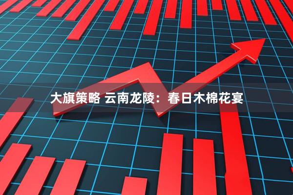 大旗策略 云南龙陵：春日木棉花宴