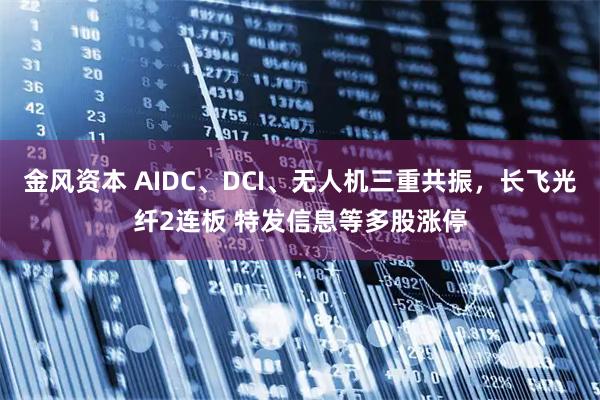 金风资本 AIDC、DCI、无人机三重共振，长飞光纤2连板 特发信息等多股涨停