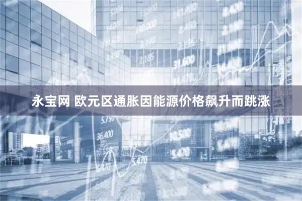 永宝网 欧元区通胀因能源价格飙升而跳涨