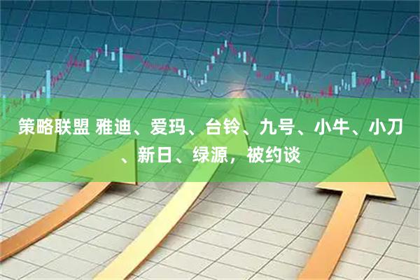 策略联盟 雅迪、爱玛、台铃、九号、小牛、小刀、新日、绿源,被约谈