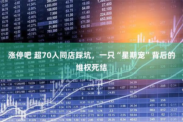 涨停吧 超70人同店踩坑，一只“星期宠”背后的维权死结