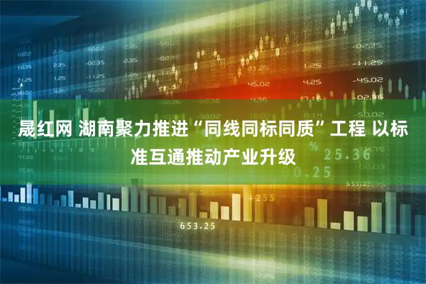 晟红网 湖南聚力推进“同线同标同质”工程 以标准互通推动产业升级