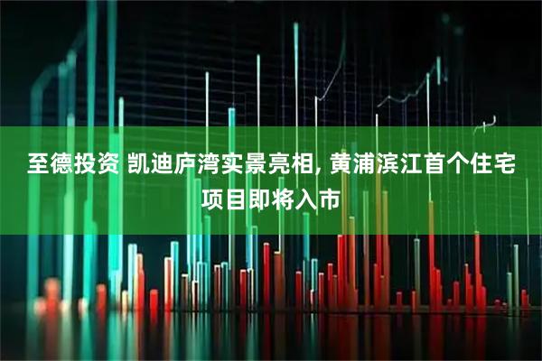 至德投资 凯迪庐湾实景亮相, 黄浦滨江首个住宅项目即将入市